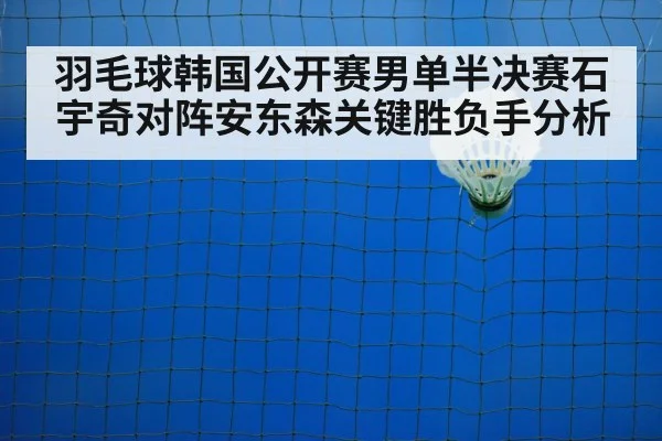 badminton net shot